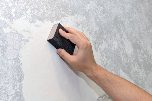 Best Emergency Mold Remediation  in Hebron, MD