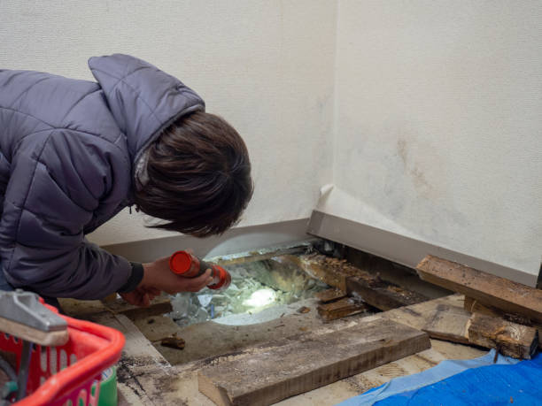 Best Air Quality Testing for Mold Spores  in Hebron, MD