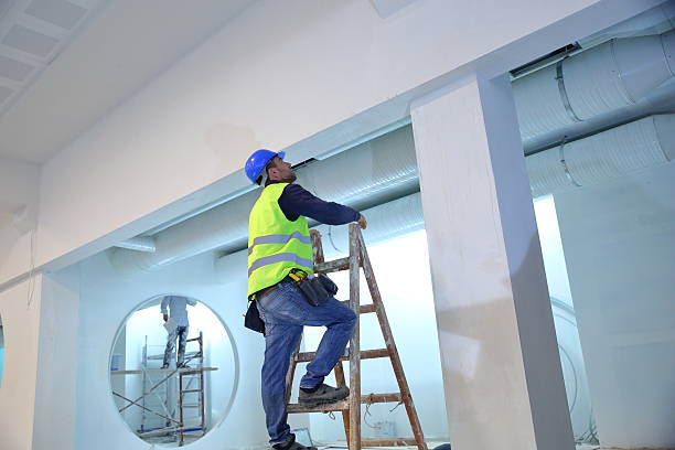 Best Mold Removal for HVAC Installations  in Hebron, MD