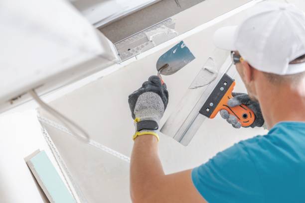 Best Mold Odor Removal Services  in Hebron, MD